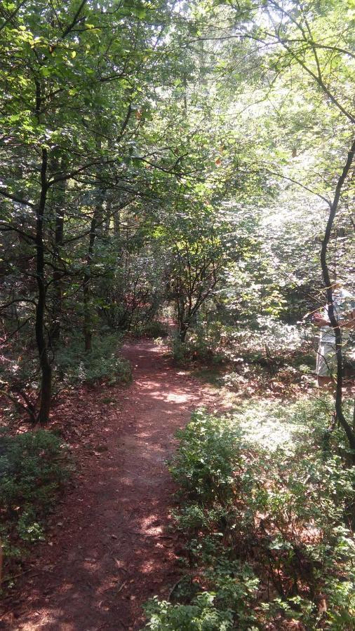 Poort Van De Veluwe ฟัวร์เธาเซอ ภายนอก รูปภาพ