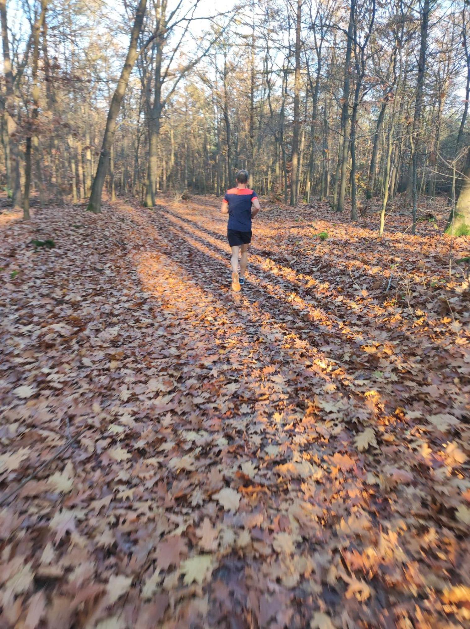 Poort Van De Veluwe ฟัวร์เธาเซอ ภายนอก รูปภาพ